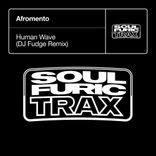 Artwork für "Human Wave"