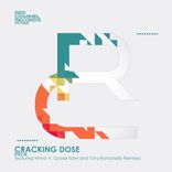 Artwork for "Cracking Dose"