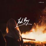 Artwork for "Wildfire"