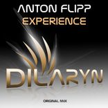 Artwork for "Experience"