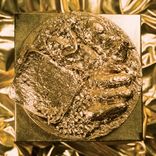 Portada para "Higher Learning"