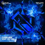 Artwork für "What You Feel"