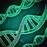 Artwork for "High Perception"