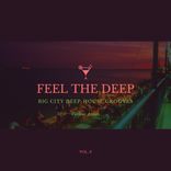 Artwork für "Feel The Deep (Big City Deep-House Grooves), Vol. 3"