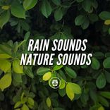 Portada para "Rain Sounds Nature Sounds"