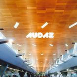 Artwork for "Pedal Polarity / The Race"