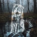 deja vu of missing fractals