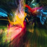 Portada para "I Am the Black Gold of the Sun"