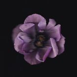 Portada para "Love U"