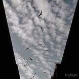 Artwork for "Phaeton / Silhouettes"