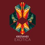 Artwork voor "Exotica"