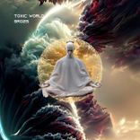 Artwork voor "Toxic World"