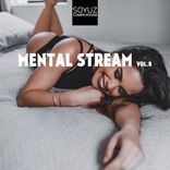 Artwork for "Mental Stream, Vol. 8"