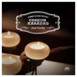 Artwork for "Just Funky"