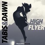 Portada para "High Flyer"