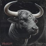 Artwork voor "In the Silence"