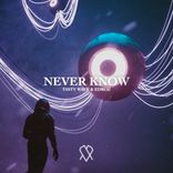 Artwork for "Never Know"