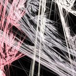 Artwork for "Pangaea EP"