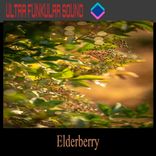Portada para "Elderberry"