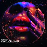 Vinyl Crusher (Radio Mix)