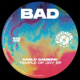 Artwork for "Temple Of Joy EP"