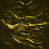 Portada para "Desolate"