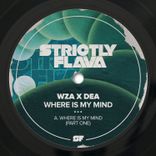 Artwork voor "Where Is My Mind (Pt. 1)"