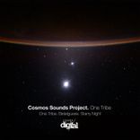 Artwork voor "One Tribe"