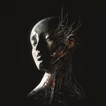 Within Cells Interlinked