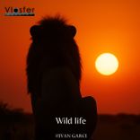 Artwork for "Wild Life"