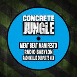 Artwork for "Radio Babylon - Radiokillaz Dubplate Mix"