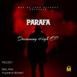 Artwork for "Dreaming High"