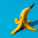 Artwork for "La Guayo"