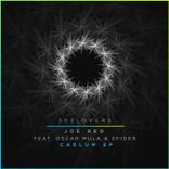 Artwork voor "Caelum"