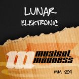 Portada para "Elektronic"