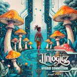 Artwork voor "Hybrid Connection"