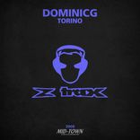 Artwork voor "Torino"