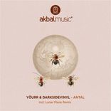 Artwork voor "Antal"