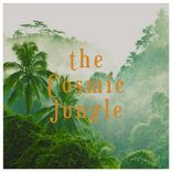 Artwork for "The Cosmic Jungle"