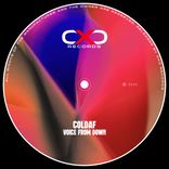 Artwork for "Voice From Down"