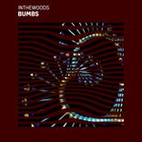 Portada para "Bumbs"