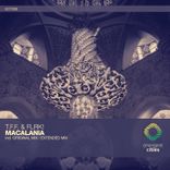 Artwork voor "Macalania"