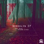 Artwork for "Brooklyn Party"
