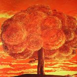 Portada para "Kaczence"