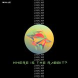 Where Is the Rabbit?