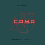 Artwork voor "C.A.Y.A"