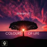 Artwork for "Colours of Life"