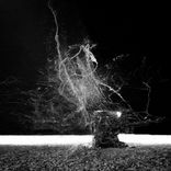 Artwork for "Pattern"