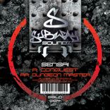 Artwork for "Conquest / dungeon master"