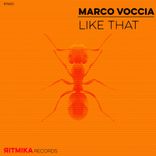 Artwork für "Like That"